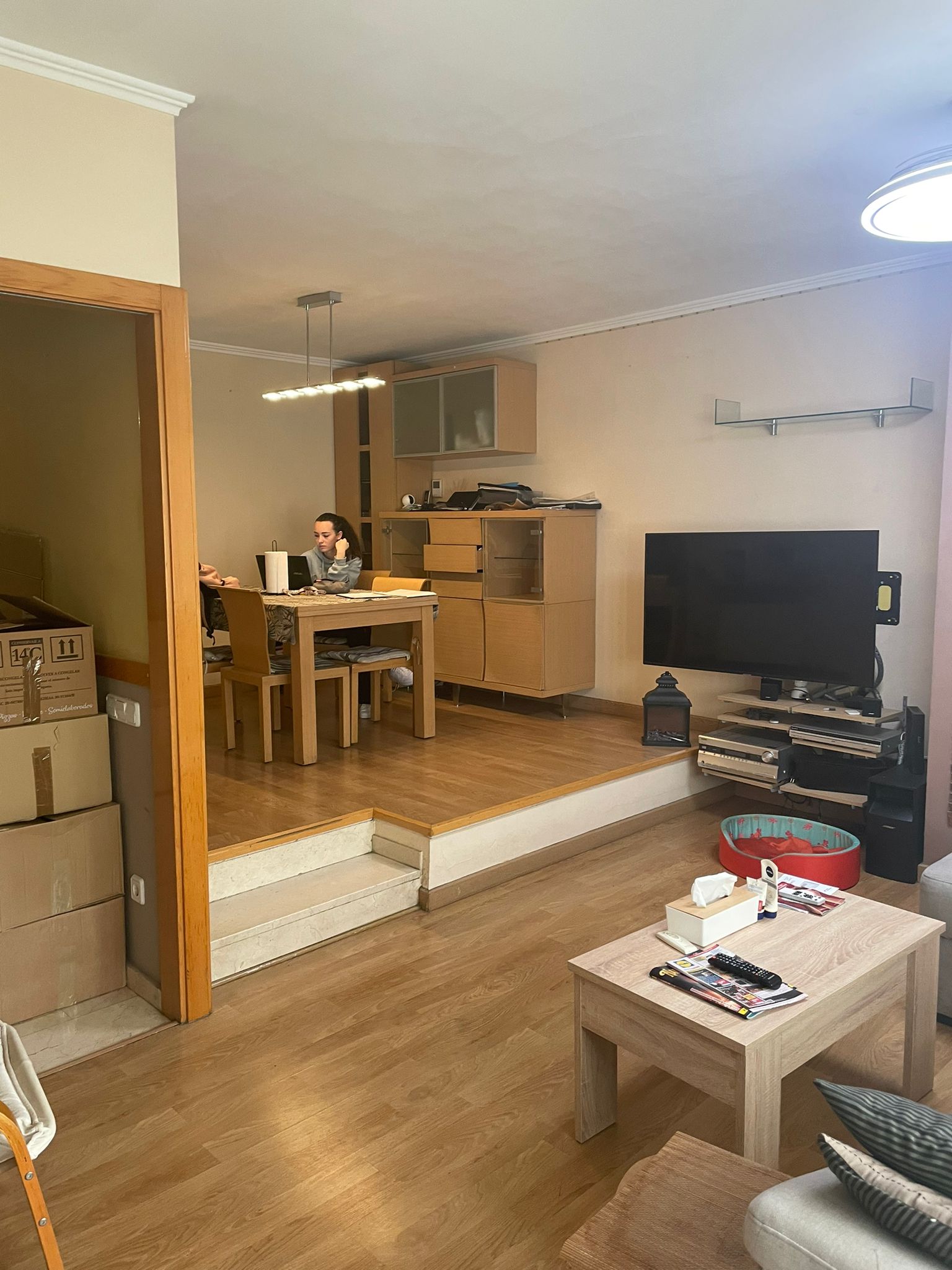 whatsapp image 2024 11 06 at 14.50.38 (1)