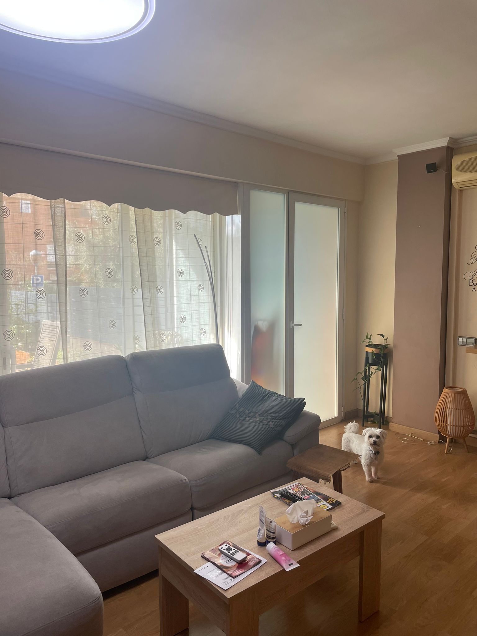 whatsapp image 2024 11 06 at 14.50.38